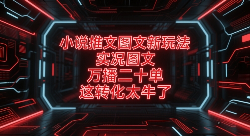 小说推文图文新玩法，实况图文，万播二十单，这转化太牛了！-网创资源库