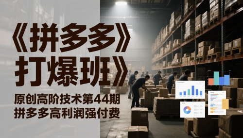 《拼多多打爆班》原创高阶技术第44期，拼多多高利润强付费-网创资源库