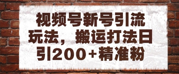 视频号新号引流玩法，搬运打法日引200+精准粉，可矩阵放大【揭秘】-网创资源库