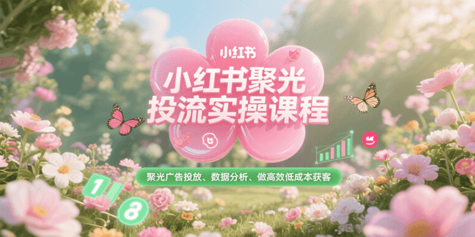小红书聚光投流实操课程，聚光广告投放、数据分析、做高效低成本获客-网创资源库