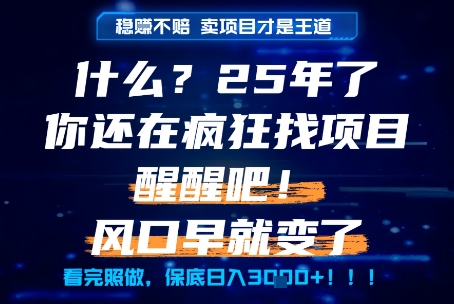 什么？25年你还在疯狂找项目做，醒醒吧，看完这些你全都懂了！【揭秘】-网创资源库