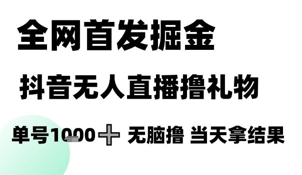 全网首发掘金抖音无人直播撸礼物，单号1k +无脑撸，当天拿结果【揭秘】-网创资源库