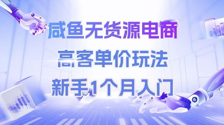 咸鱼无货源电商，高客单价玩法，新手1个月入门-网创资源库