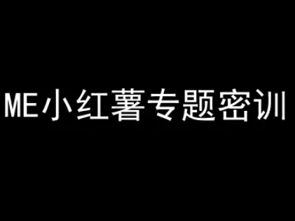 ME小红薯专题密训-小红书电商教程-网创资源库