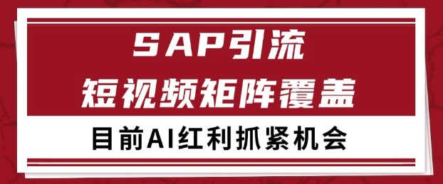 小红书某音sap赛道引流获客 自热矩阵日引200+【揭秘】-网创资源库