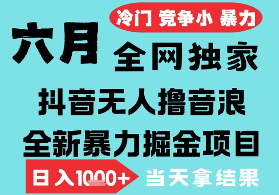 2025年6月高爆抖音无人直播最新撸音浪掘金项目，无脑日入1k+，低门槛小白可做，可矩阵放大【揭秘】-网创资源库