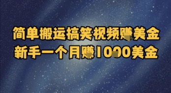 简单搬运搞笑视频挣美金，新手一个月入1k美金-网创资源库