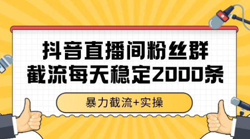 抖音直播间粉丝群暴力截流，一台电脑每天稳定2000条数据【揭秘】-网创资源库