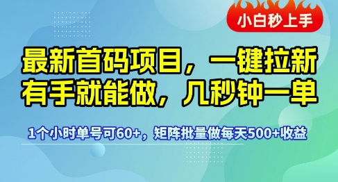 最新首码项目，一键拉新有手就能做，几秒钟一单，1个小时单号可60+，矩阵批量做每天5张【揭秘】-网创资源库