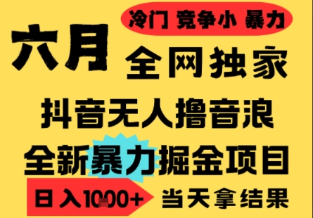25年6月高爆抖音无人直播最新撸音浪掘金项目，小白可做，无脑日入1k+，门槛低可批量矩阵【揭秘】-网创资源库