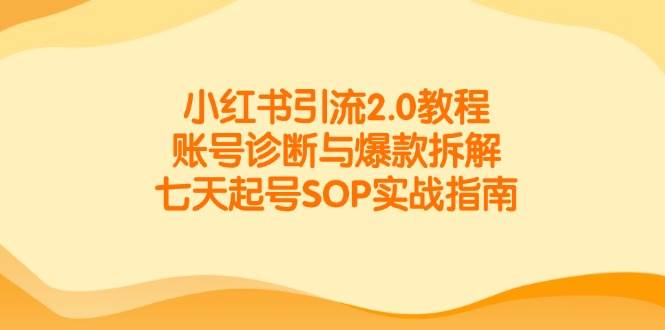 小红书引流2.0教程，账号诊断与爆款拆解，七天起号SOP实战指南-网创资源库