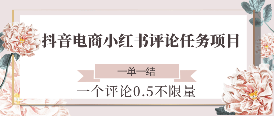 抖音电商小红书评论任务项目，一个评论0.5，一单一结 不限量-网创资源库