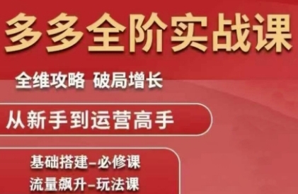 拼多多全阶实战课程，全维攻略，破局增长，从新手到运营高手-网创资源库