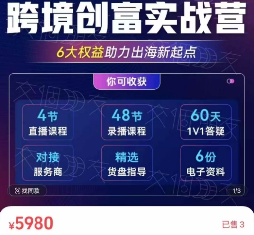 价值5980《跨境创富实战营》独立站+TikTok+YouTube+谷歌广告，经营策略，店铺运营-网创资源库