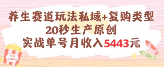 养生赛道玩法私域+复购类型，20秒生产原创实战单号月收入5k+-网创资源库