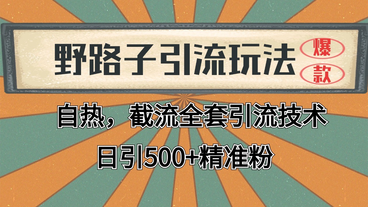 2024首发野路子引流玩法截流自热全平台打法，全自动引流【日引2000+精准客户】-网创资源库