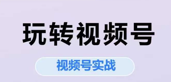 玩转视频号，视频号实战系列课-网创资源库