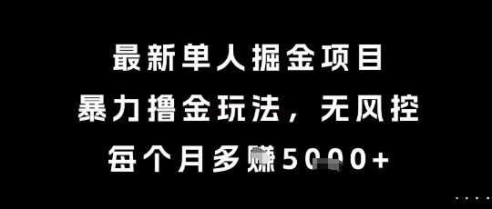 最新单人掘金项目，暴力撸金玩法，无风控，每个月多挣5k+【揭秘】-网创资源库