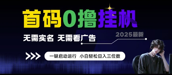 首码0撸挂G项目，无需实名无需看广告 一键启动运行，小白轻松日入三位数【揭秘】-网创资源库