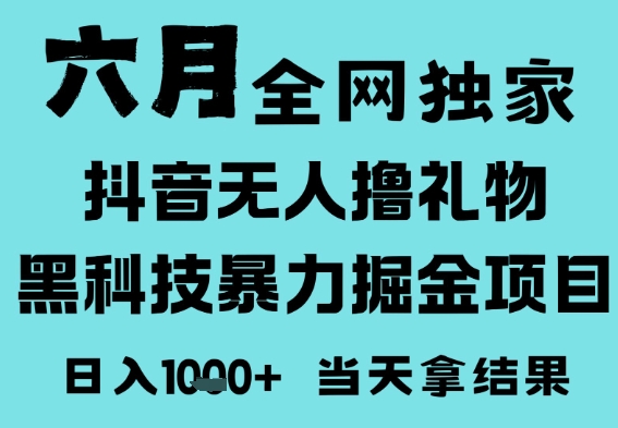 25年6月高爆抖音无人直播最新撸音浪掘金项目，门槛低小白可做，无脑日入1k，可矩阵放大【揭秘】-网创资源库