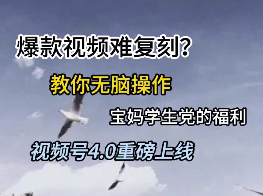 视频号4.0重磅上线，爆款视频难复刻？教你无脑操作宝妈学生党的福利【揭秘】-网创资源库