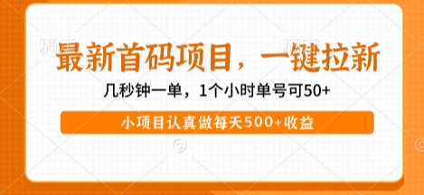 最新首码项目，操作最简单，收益高，一键拉新，1个小时单号可50+，小项目认真做每天5张+收益【揭秘】-网创资源库