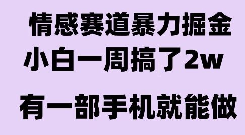 情感暴力掘金项目，新人操作一周挣了2W，长期稳定小白可做【揭秘】-网创资源库