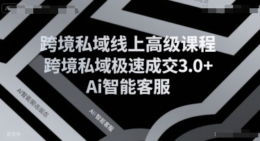 跨境私域线上高级课程，跨境私域极速成交3.0+Ai智能客服-网创资源库