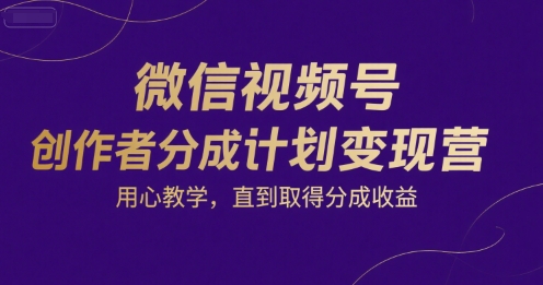微信视频号创作者分成计划变现营，用心教学，直到取得分成收益-网创资源库