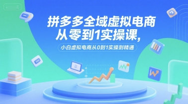 拼多多全域虚拟电商从零到1实操课，小白虚拟电商从0到1实操到精通-网创资源库