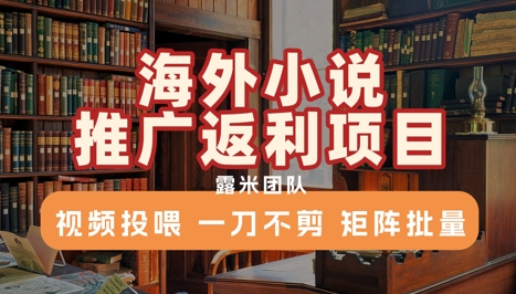 海外小说推广返利项目，视频投喂， 一刀不剪，矩阵批量-网创资源库
