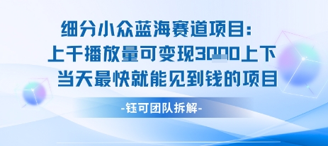 小众蓝海赛道项目：当天变现1k+适合新手操作 +适合长期玩-网创资源库