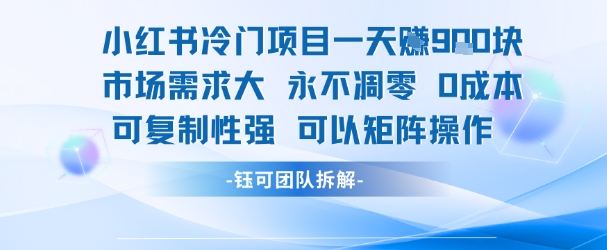 小红书冷门项目一天收益9张，市场需求大，0成本，可复制性强可以矩阵操作-网创资源库