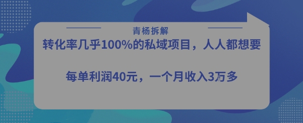 转化率最高的私域项目，每单利润40-50米，月入过1w-网创资源库
