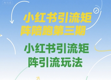 小红书引流矩阵陪跑第三期，小红书引流矩阵引流玩法-网创资源库