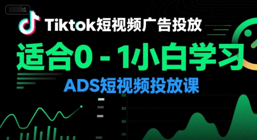 Tiktok短视频广告投放，适合0-1小白学习ADS短视频投放课-网创资源库