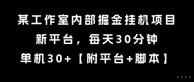 某工作室内部掘金挂G项目，新平台，每天30分钟，单机30+【揭秘】-网创资源库