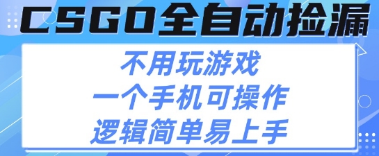 CSGO自动捡漏项目，最新独家玩法，不用挂G不用玩游戏，一个手机即可操作，新手小白轻松月入1W+【揭秘】-网创资源库