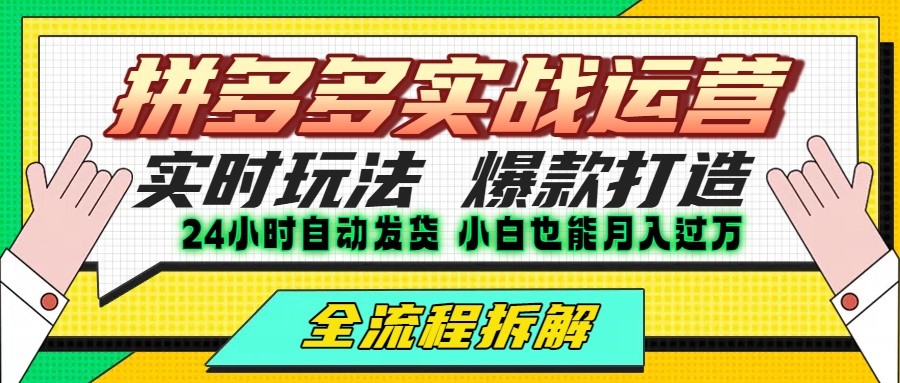 拼多多最新实战运营高投产：长久稳定项目，单店利润一天三位数-网创资源库
