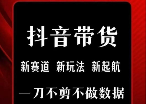 抖音短视频一刀不剪带货，不剪辑，不直播，每天发个视频，等着出单获取带货佣金-网创资源库
