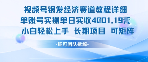 视频号银发经济赛道单账号实操单日实收1k+，小白轻松上手长期项目-网创资源库