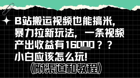 b站掘金计划？搬运视频也能挣拉新的收益，小白应该怎么玩！-网创资源库