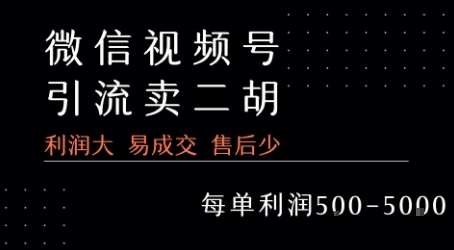 视频号卖二胡教程，利润大 易成交 售后少，一单利润5张+-网创资源库