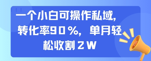 一个小白可操作私域，转化率90%，单月轻松收割2W-网创资源库
