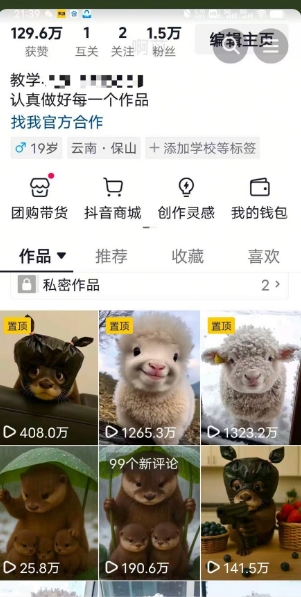 图片[2]-抖音65W博主AI萌宠课程，新赛道流量大，原创+二创，全套课程+提示词-网创资源库