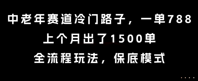 中老年赛道冷门路子，一单788，上个月出了1500单，全流程玩法，保底模式【揭秘】-网创资源库