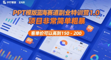 PPT模版蓝海赛道副业特训营1.0，项目非常简单粗暴，客单价可以高到150-200-网创资源库