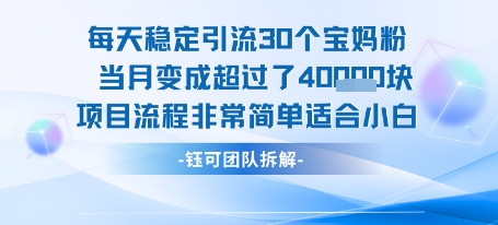 每天稳定引流30个人 当月变成超过了4个W项目流程非常简单适合小白-网创资源库