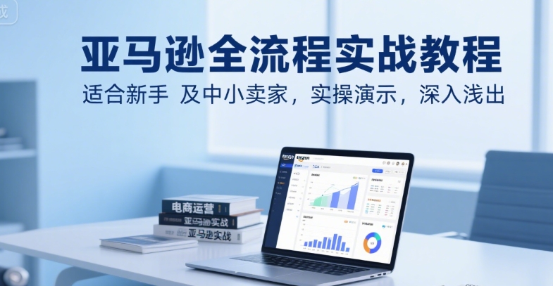 亚马逊全流程实战教程，适合新手及中小卖家，实操演示，深入浅出-网创资源库