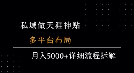 私域做天涯神贴 多平台布局 月入5k+详细流程拆解-网创资源库